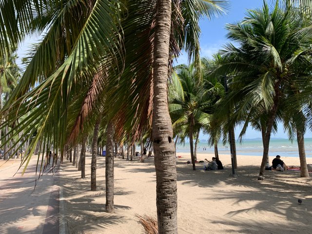 Bang Saen Beach12.jpg