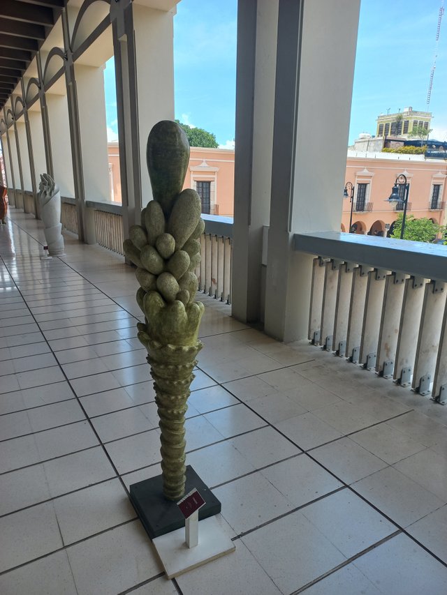 20250626_123451.jpg