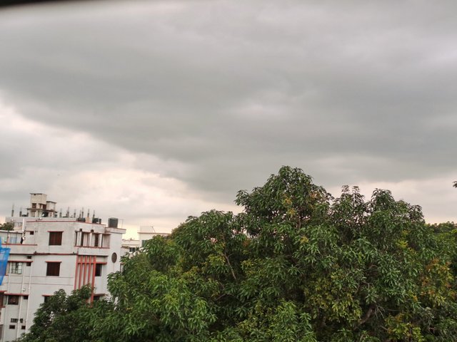 20250706_173443.jpg
