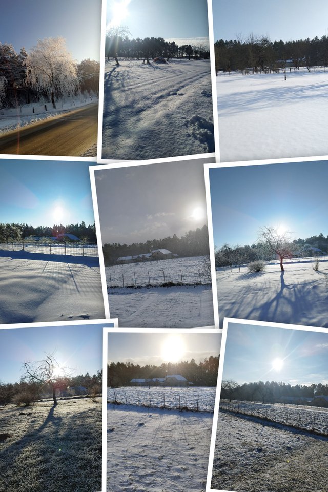 P80206-085737-COLLAGE.jpg