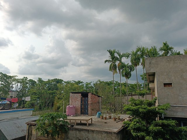 1000043770.jpg