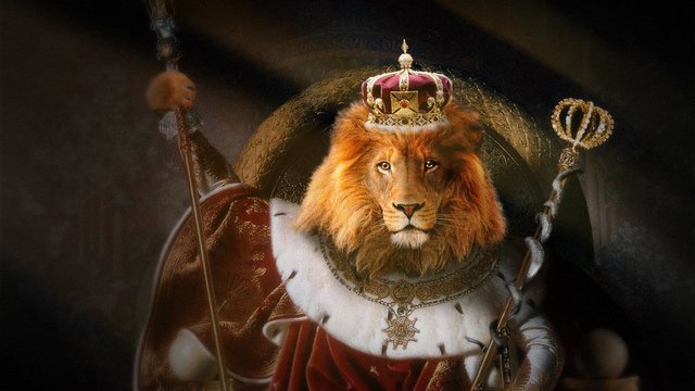 the_king_of_the_animals___photoshop_by_warrencarr-d62vprh.jpg