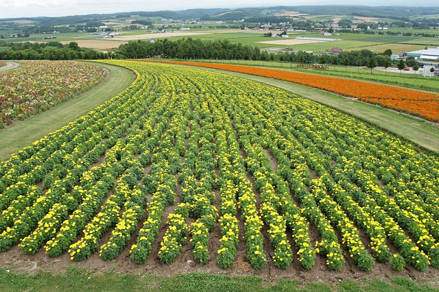 Japan-Hokkaido12802-1199.jpg