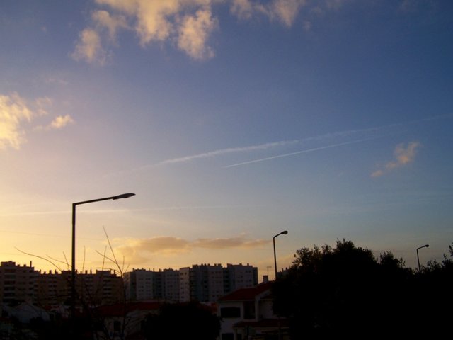 100_2088 1412 steemit.JPG