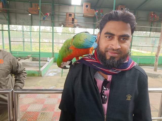 IMG20250103114135.jpg