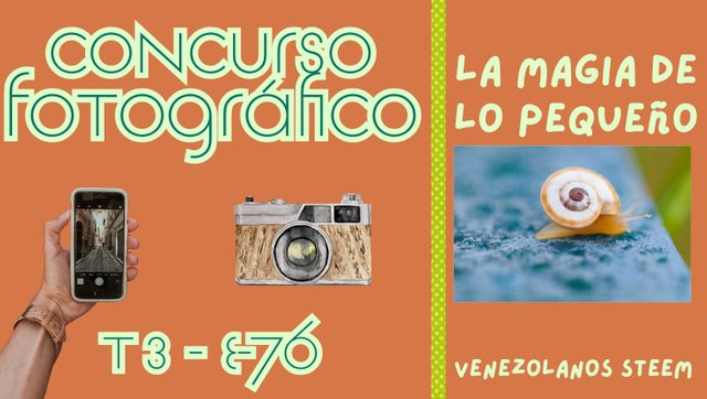 Concurso fotográfico (57).jpg