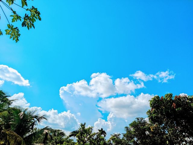 32FTXiZsHoAW6noHJDhrg3W8ZKHVFSsLYM859aTDCF8iErL4zbxrFMQ2z289YLzzRsud5w9PNneGs8XoQwa84ZGDVgKLWarDJcJ4G899Fh16vHwEH6L937nvrVPS1KFELE2LEd3555FDo27x.jpeg