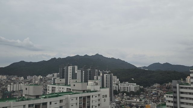 1000138280.jpg