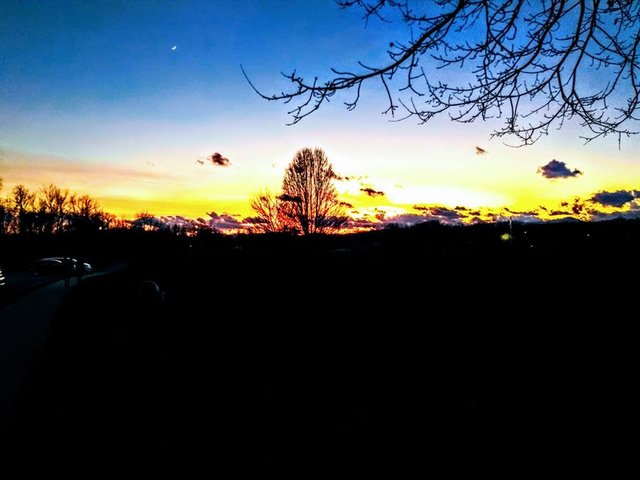Sunset in Fletcher Park.jpg