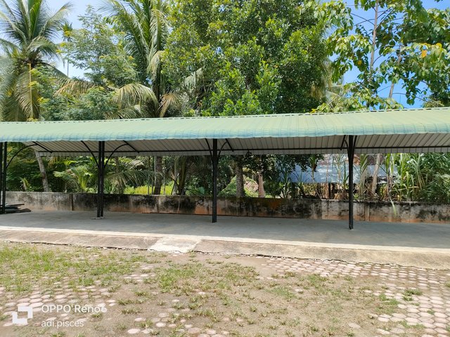 IMG20250917113729.jpg