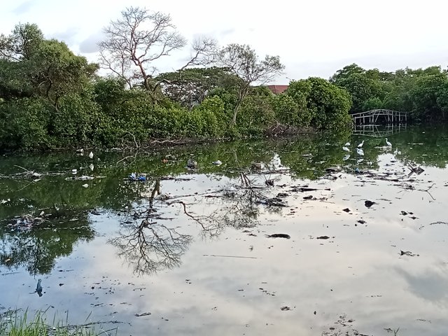1000048928.jpg