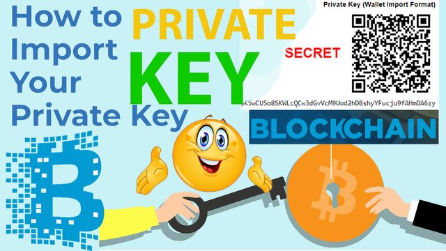 How To Import a Wallet Via Private Key By Crypto Wallets Info.jpg