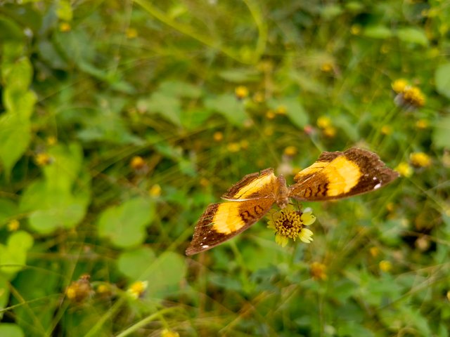 1000608528.jpg
