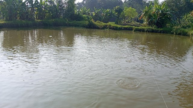 IMG_20231102_090432_6.jpg