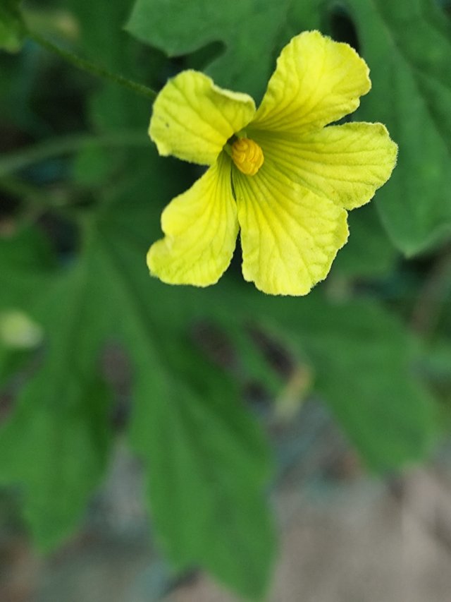 IMG_20250425_090813.jpg