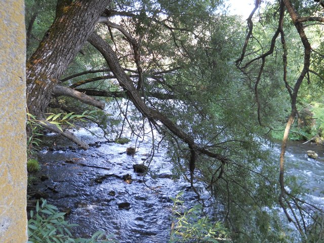 DSCN0199.JPG