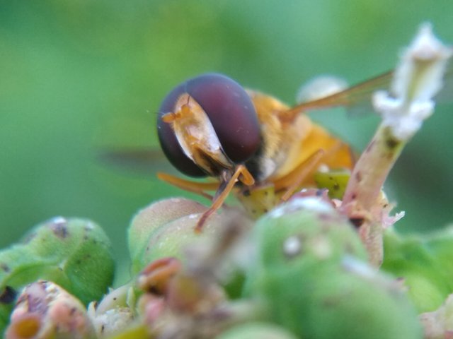 IMG_20210907_172931.jpg
