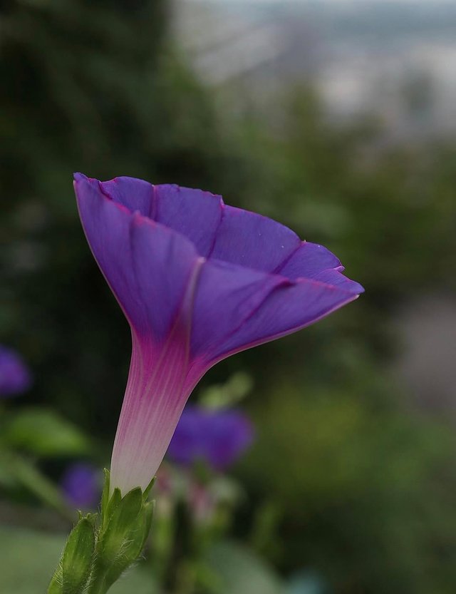 IMG_20250806_222256.jpg