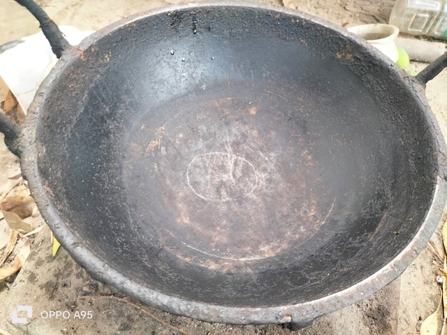 IMG20250425135111.jpg