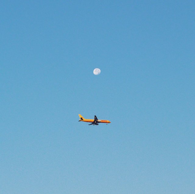 flying_under_the_moon_by_anapmc-d4cwihq.jpg