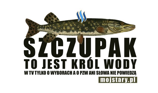 szczupak_logo.jpg