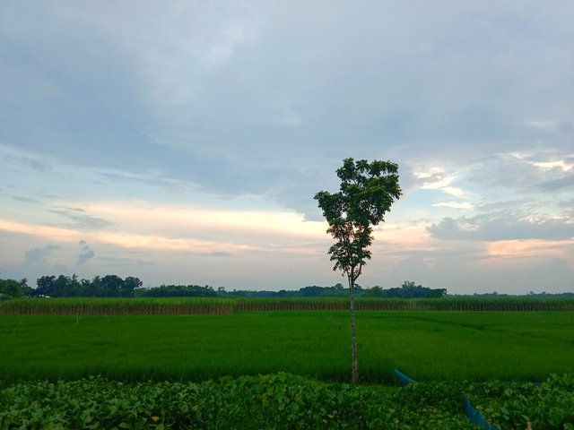IMG_20250912_215703.jpg
