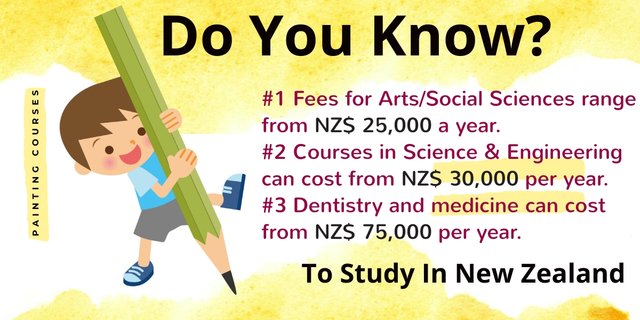 study in new zealand.jpeg