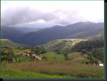 paisaje jarillo.jpg