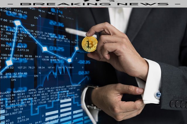 news, bitcoin investor, růst, graf, predikce, cena, kurz, analýza, předpověď, maximu, bitcoiny, aktualita, kryptoměny.jpg