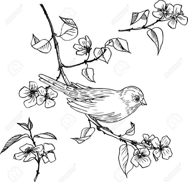 39081724-linear-drawing-bird-at-branch-with-flowers-and-leaves-set-of-hand-drawn-design-element.jpg