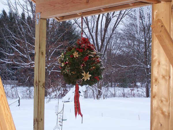 Kissing Ball in snow crop December 2019.jpg