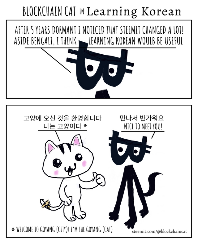 Blockchain cat - Learning Korean .png