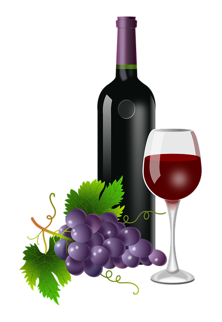 grapes-1994650_640.png