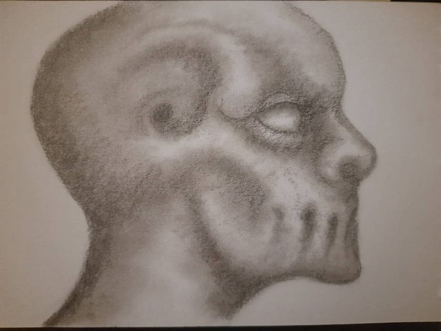 20250801_103102.jpg