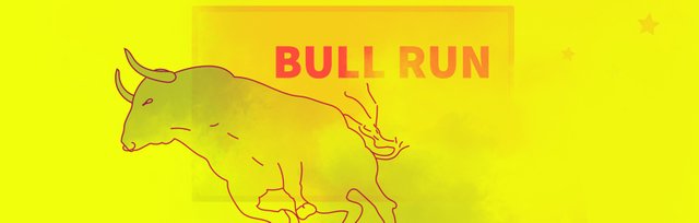 bull_run.jpg
