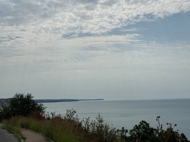 IMG8367.JPG
