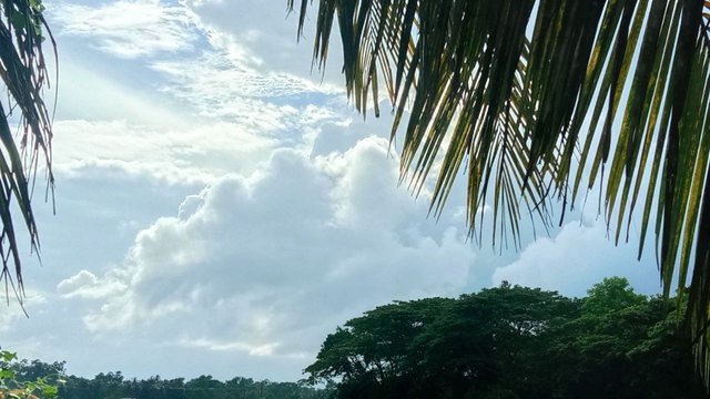 IMG_2025080_164003_982.jpg