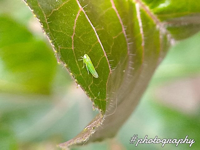 FotoGrid_20250804_201007124.jpg