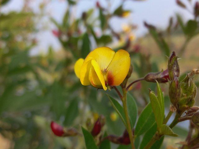 20230120_160152.jpg
