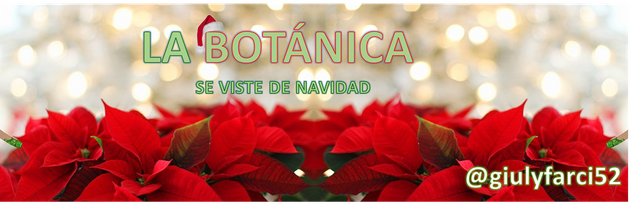 Botanica navideña 1.png