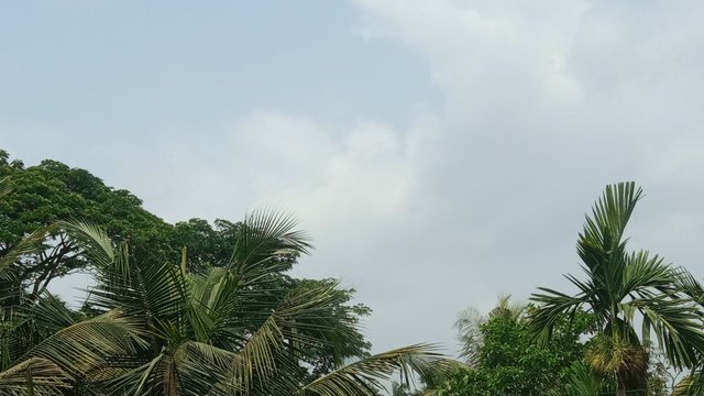 IMG_20250423_185153_132.jpg