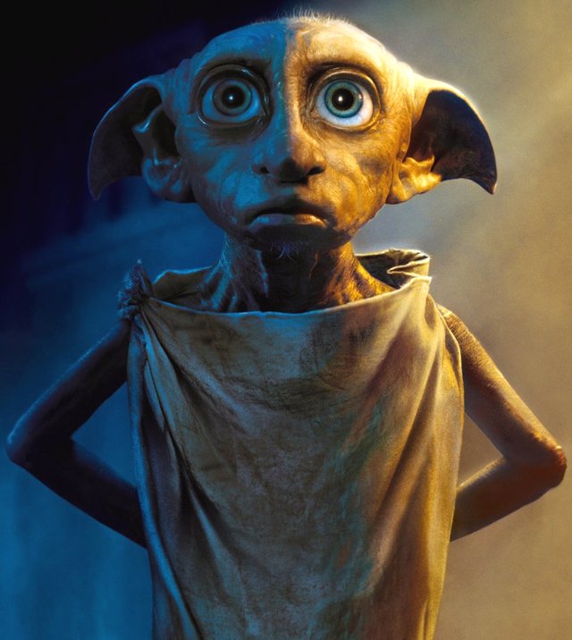 DOBBY2.jpg