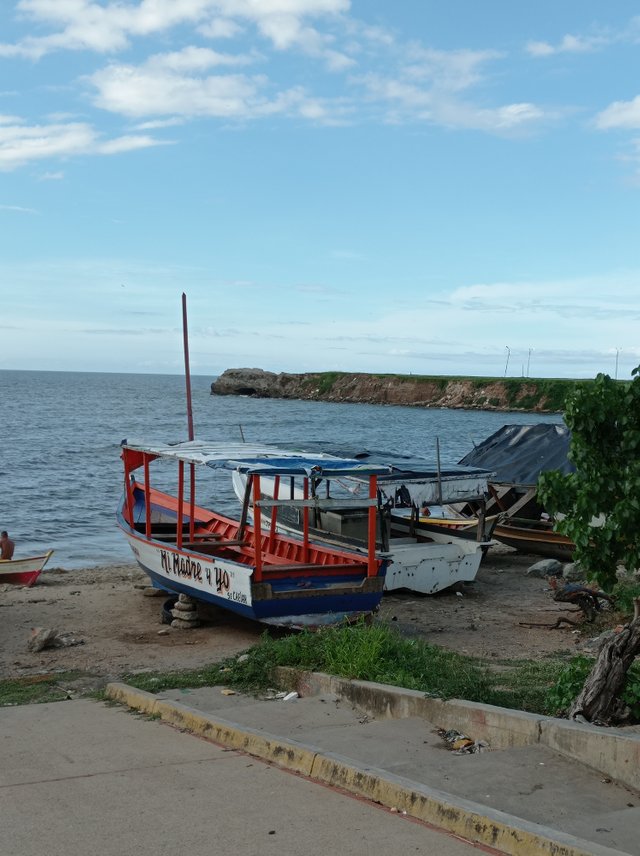 Botes en la avenida.jpg