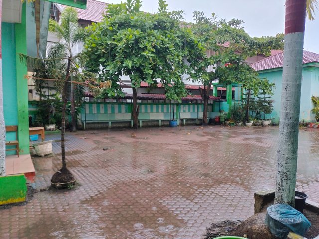 IMG20250314080501.jpeg