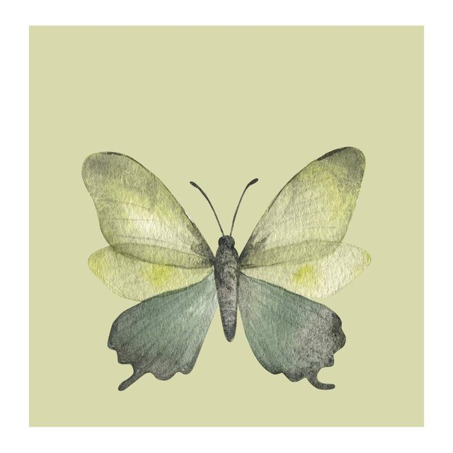 Green Butterfly Whimsical Square Sticker.jpg