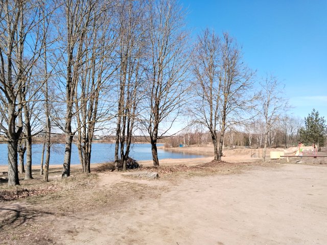 IMG_20250412_120115.jpg