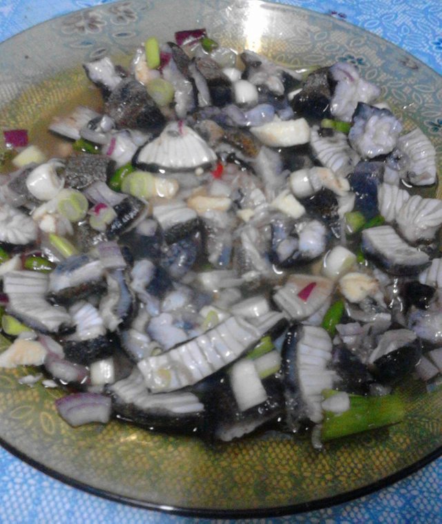 Sea Cucumber Food Philippines