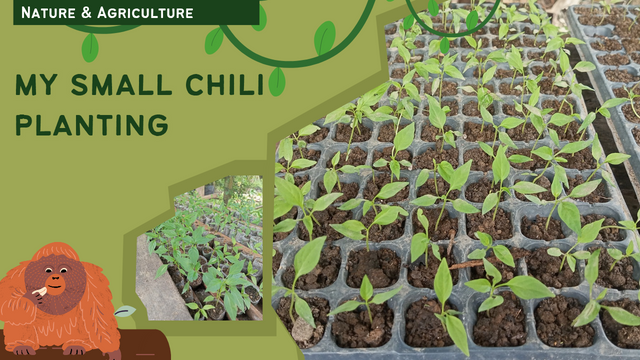 Hijau Ilustrasi Petualangan di Hutan Leuser YouTube Thumbnail_20250614_233815_0000.png