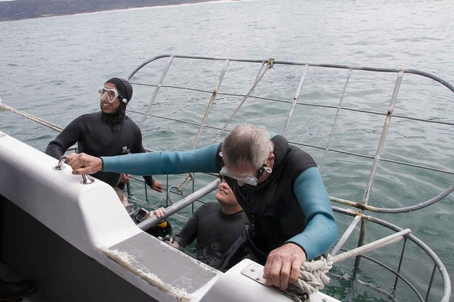 Shark Day trip in Gansbaai.jpg