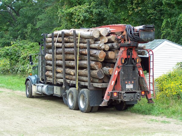 Log truck arrives crop September 2019.jpg